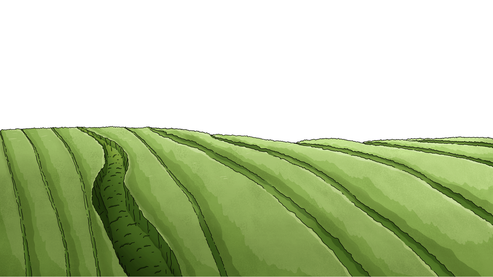 BG
